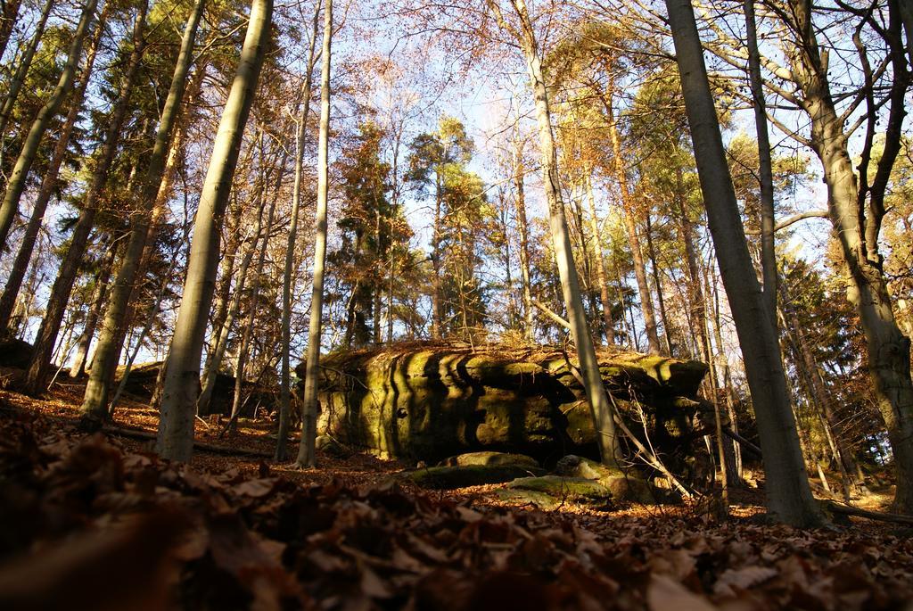 Landpension Bielatal - Raum Kültér fotó